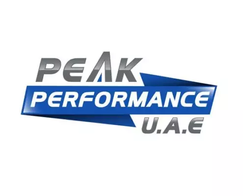 Peak Performance Logo 495x400 - Design Portfolio