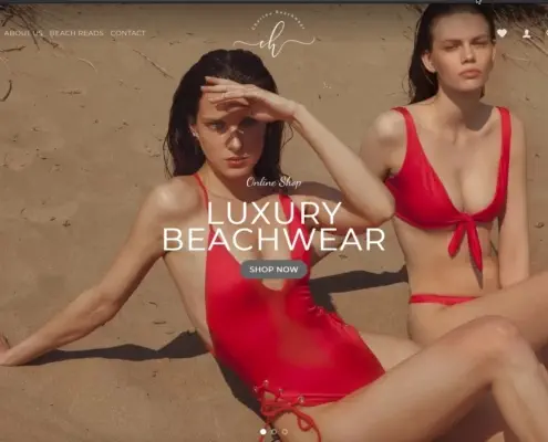 cherina beachwear ecommerce e1591816946591 495x400 - Portfolio